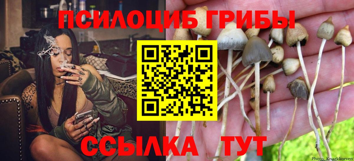 Галлюциногенные грибы ЛСД  Псилоцибиновые грибы ЛСД  Дагестанские Огни  Вход с VPN 