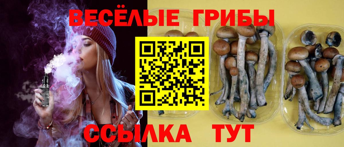 Псилоцибиновые грибы Psilocybe Дагестанские Огни
