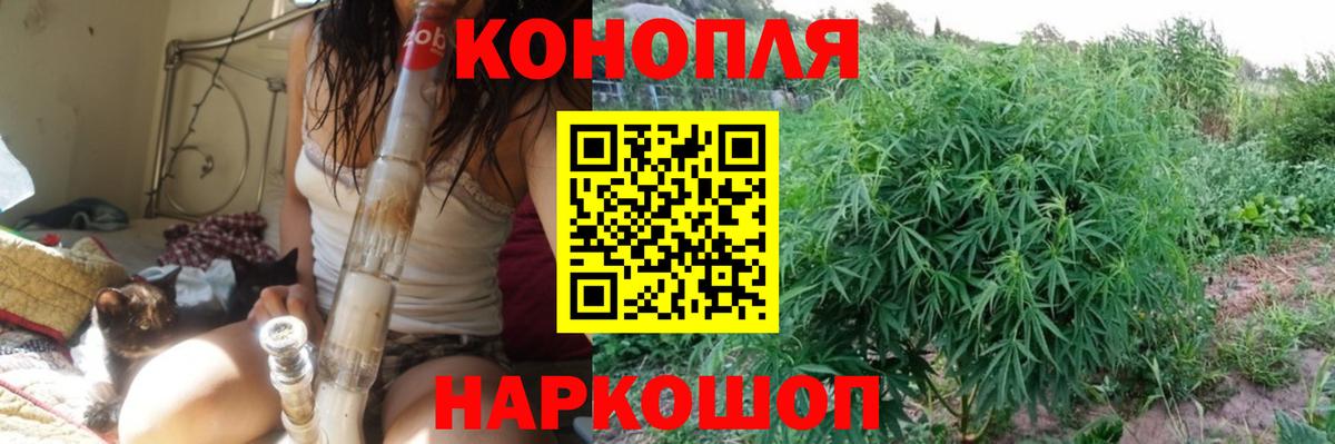 Канабис индика  Канабис план  Вход с VPN  МАРИХУАНА THC 21%  Бошки Шишки планчик  Дагестанские Огни 